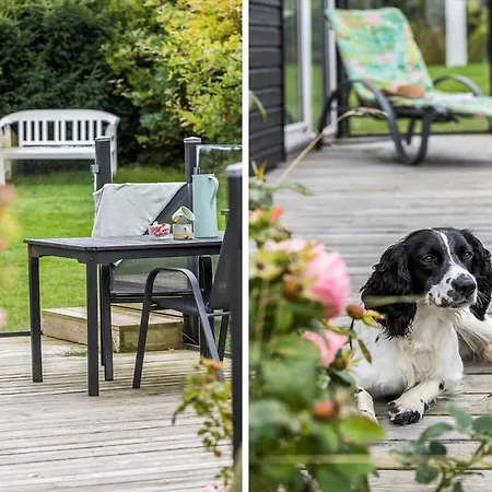 8593-glesborg-vikingebanke-11 Nyaraló *