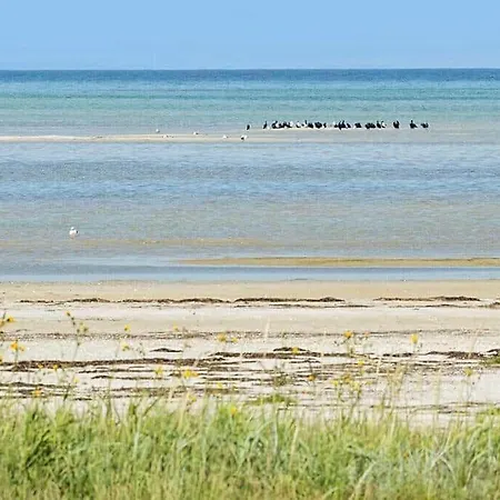 Nyaraló 8593-glesborg-vikingebanke-11